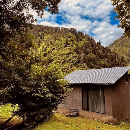 Cozy House In The Forest 보르조미 외부 사진