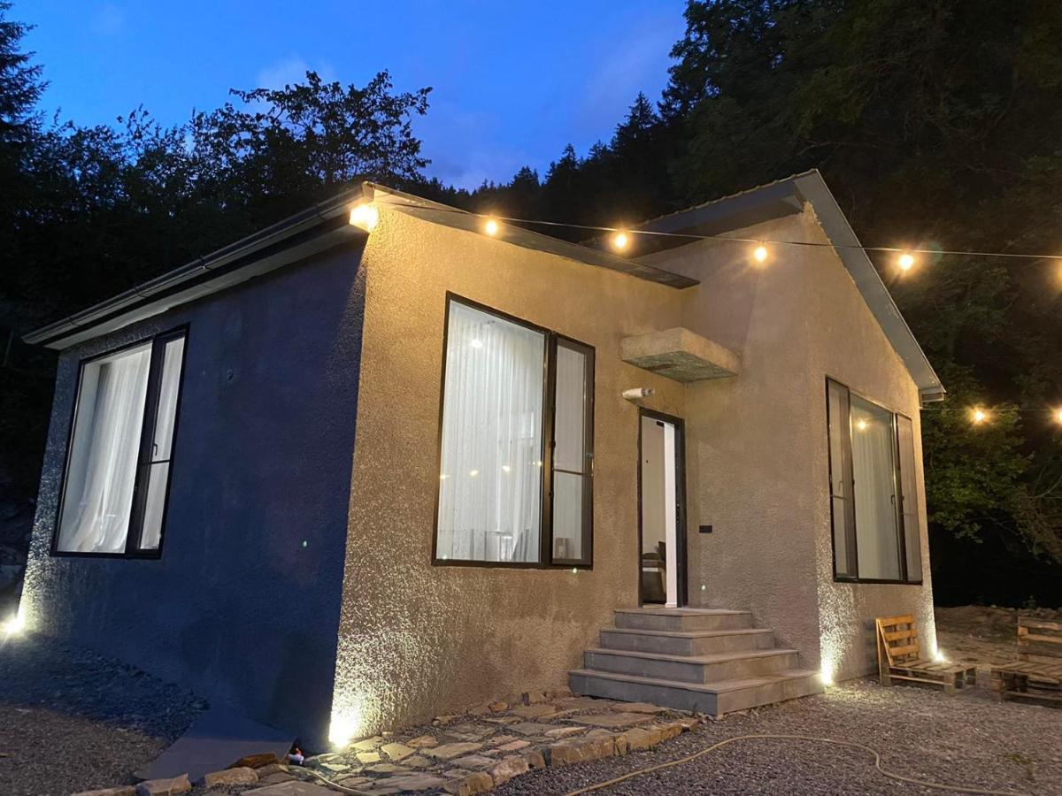 Cozy House In The Forest 보르조미 외부 사진