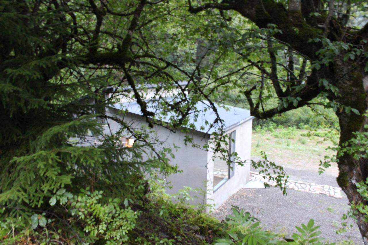 Cozy House In The Forest 보르조미 외부 사진