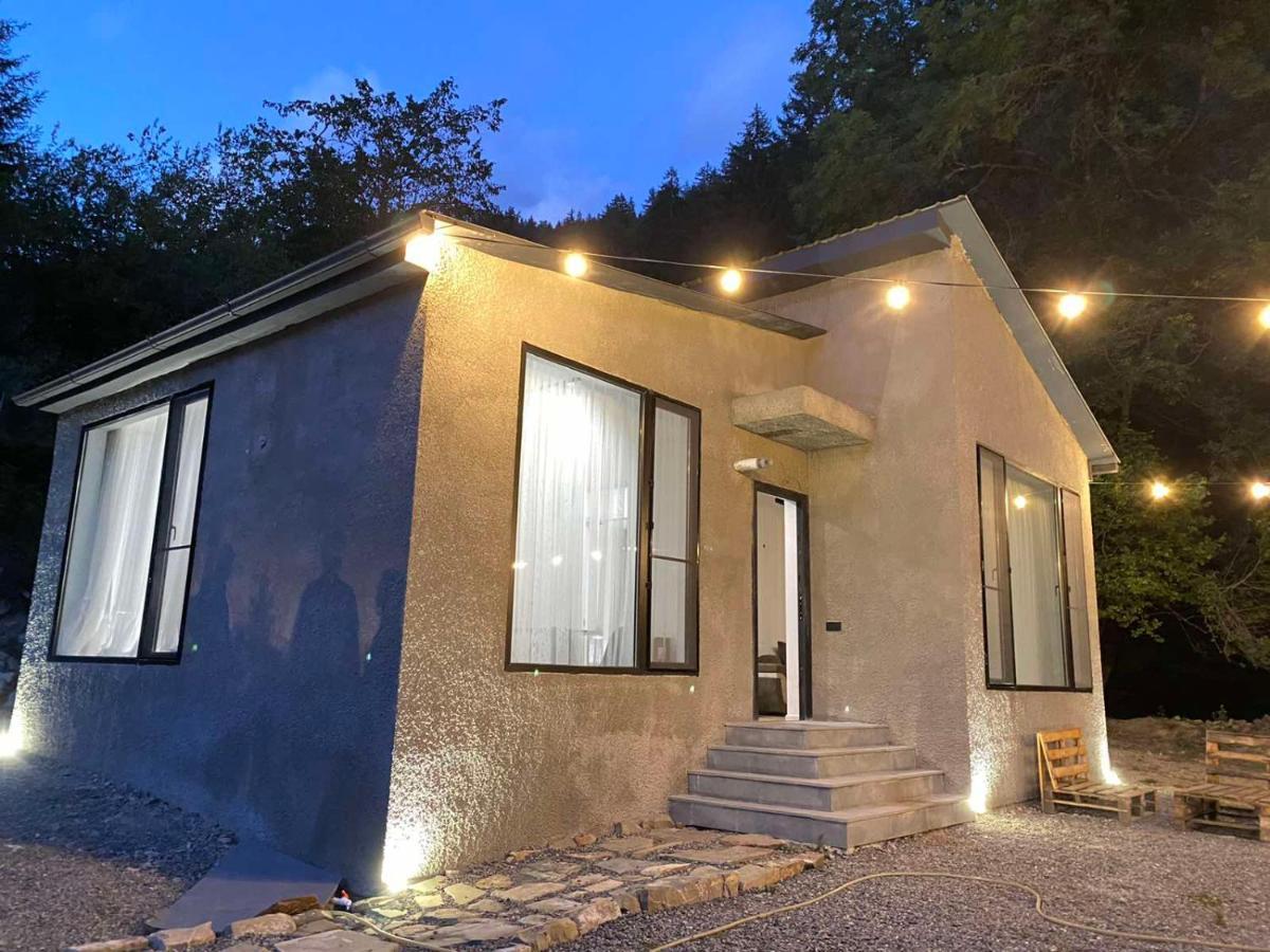 Cozy House In The Forest 보르조미 외부 사진