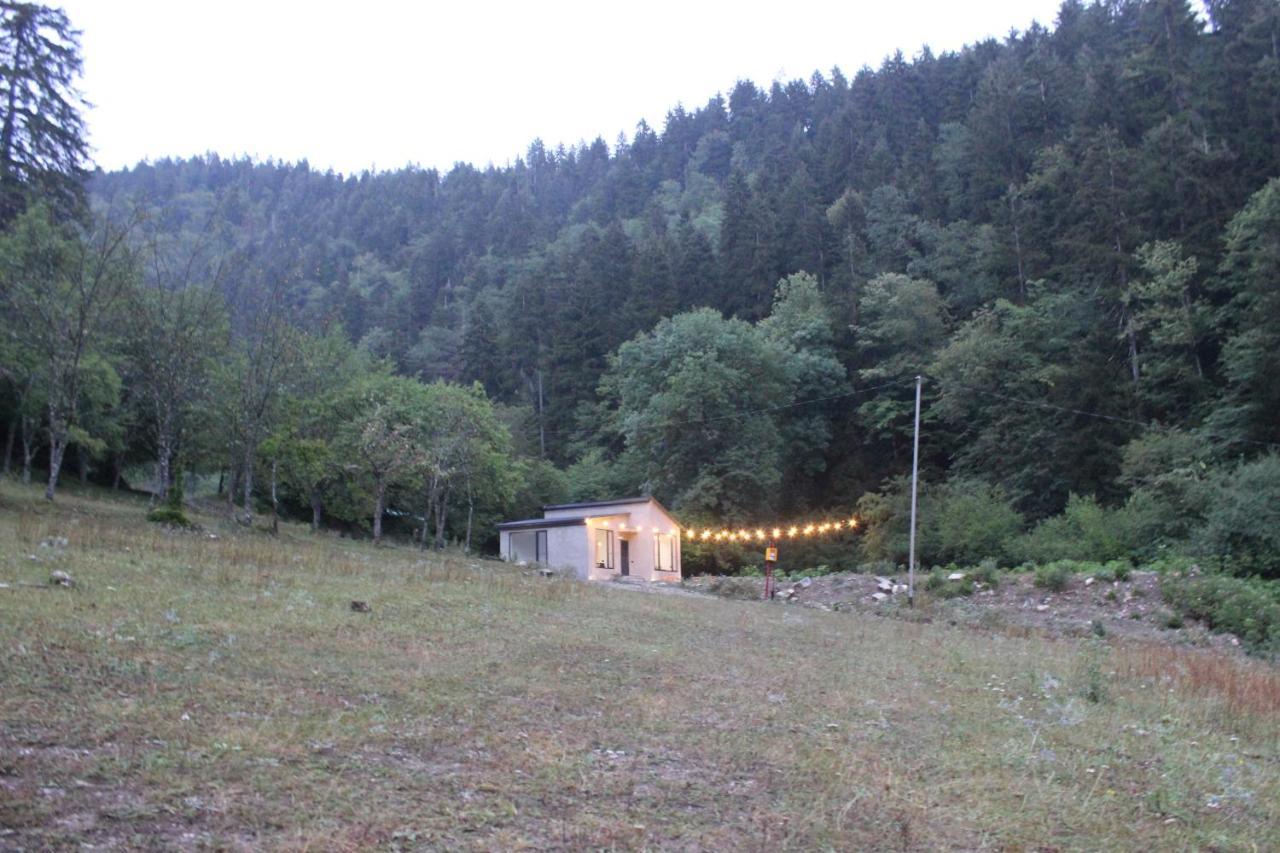 Cozy House In The Forest 보르조미 외부 사진