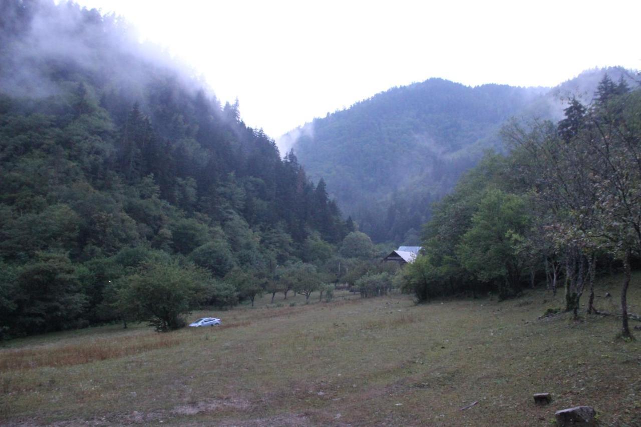 Cozy House In The Forest 보르조미 외부 사진