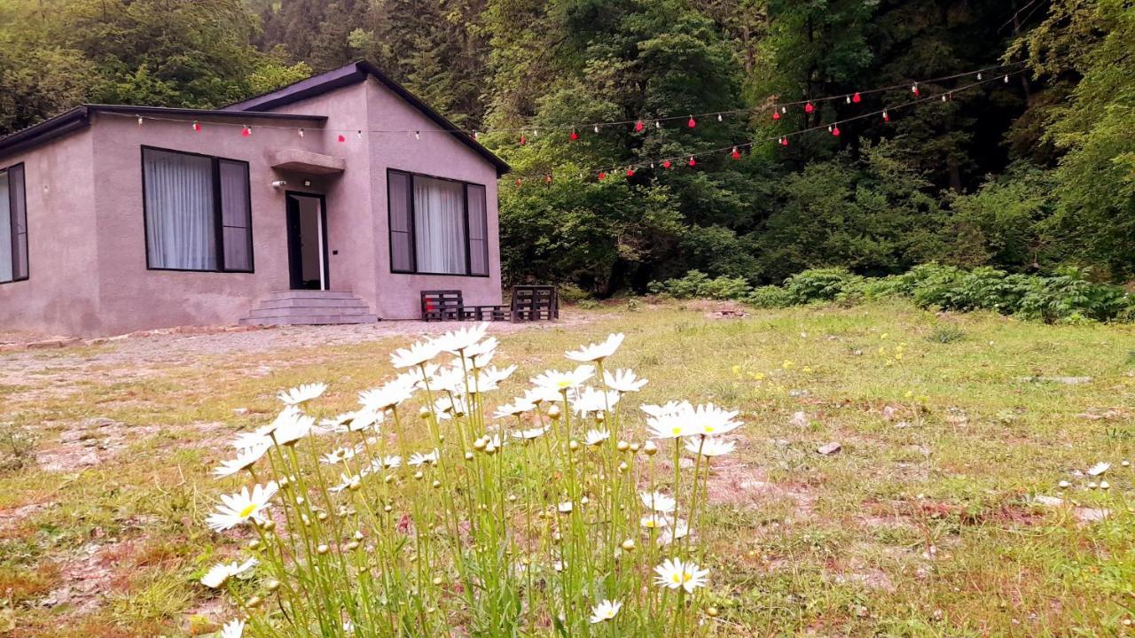 Cozy House In The Forest 보르조미 외부 사진