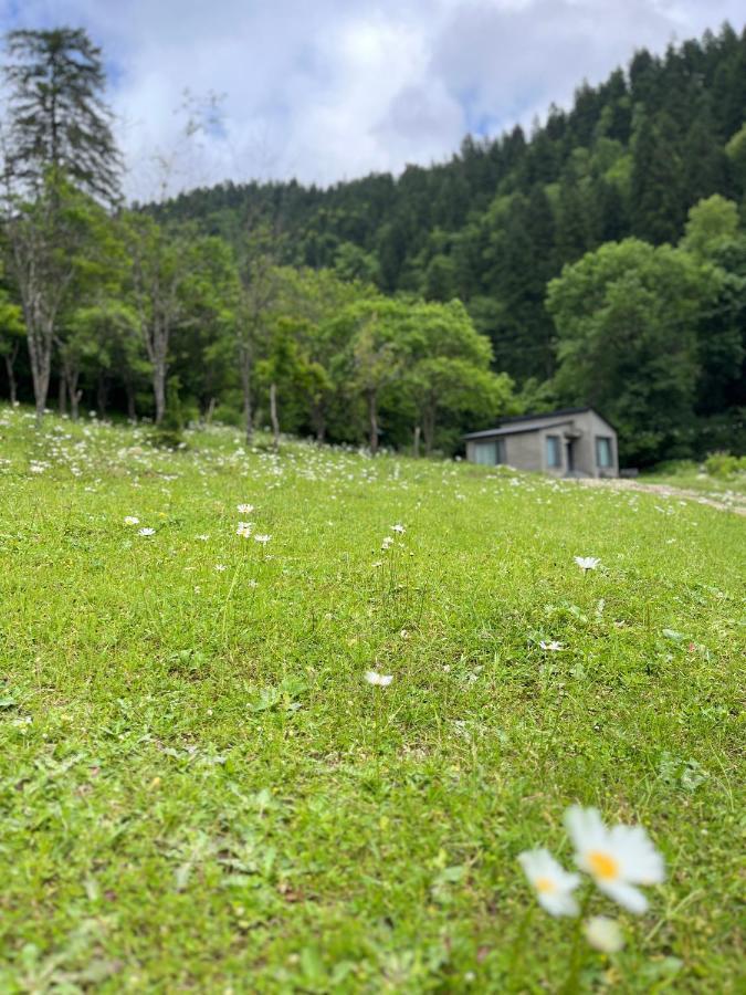 Cozy House In The Forest 보르조미 외부 사진