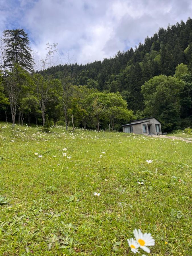 Cozy House In The Forest 보르조미 외부 사진