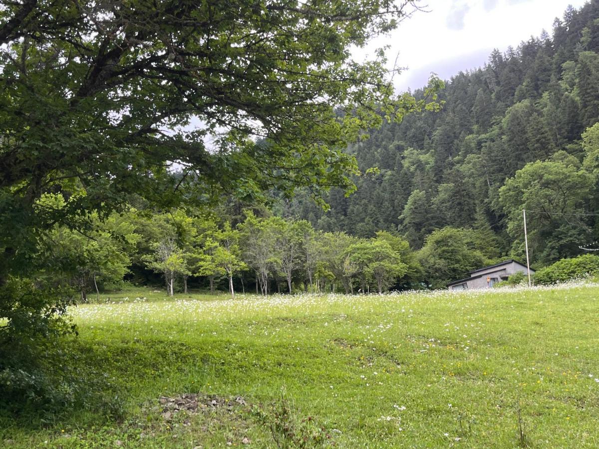 Cozy House In The Forest 보르조미 외부 사진