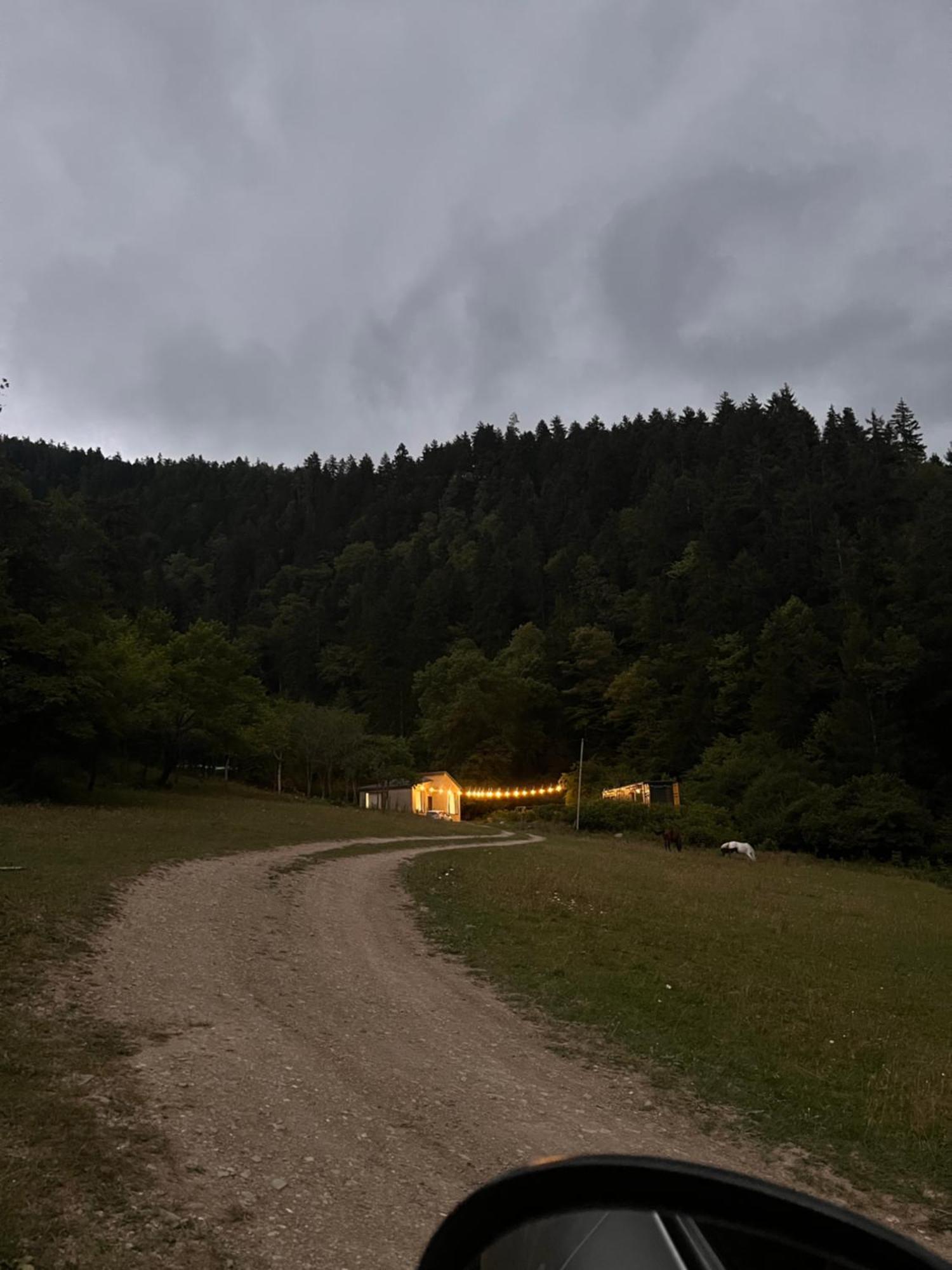 Cozy House In The Forest 보르조미 외부 사진