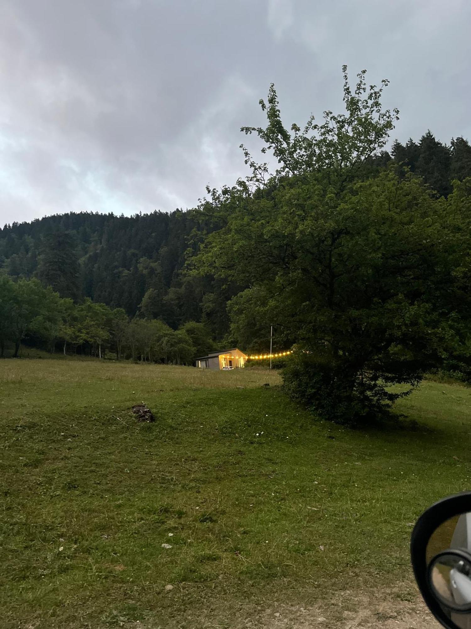 Cozy House In The Forest 보르조미 외부 사진