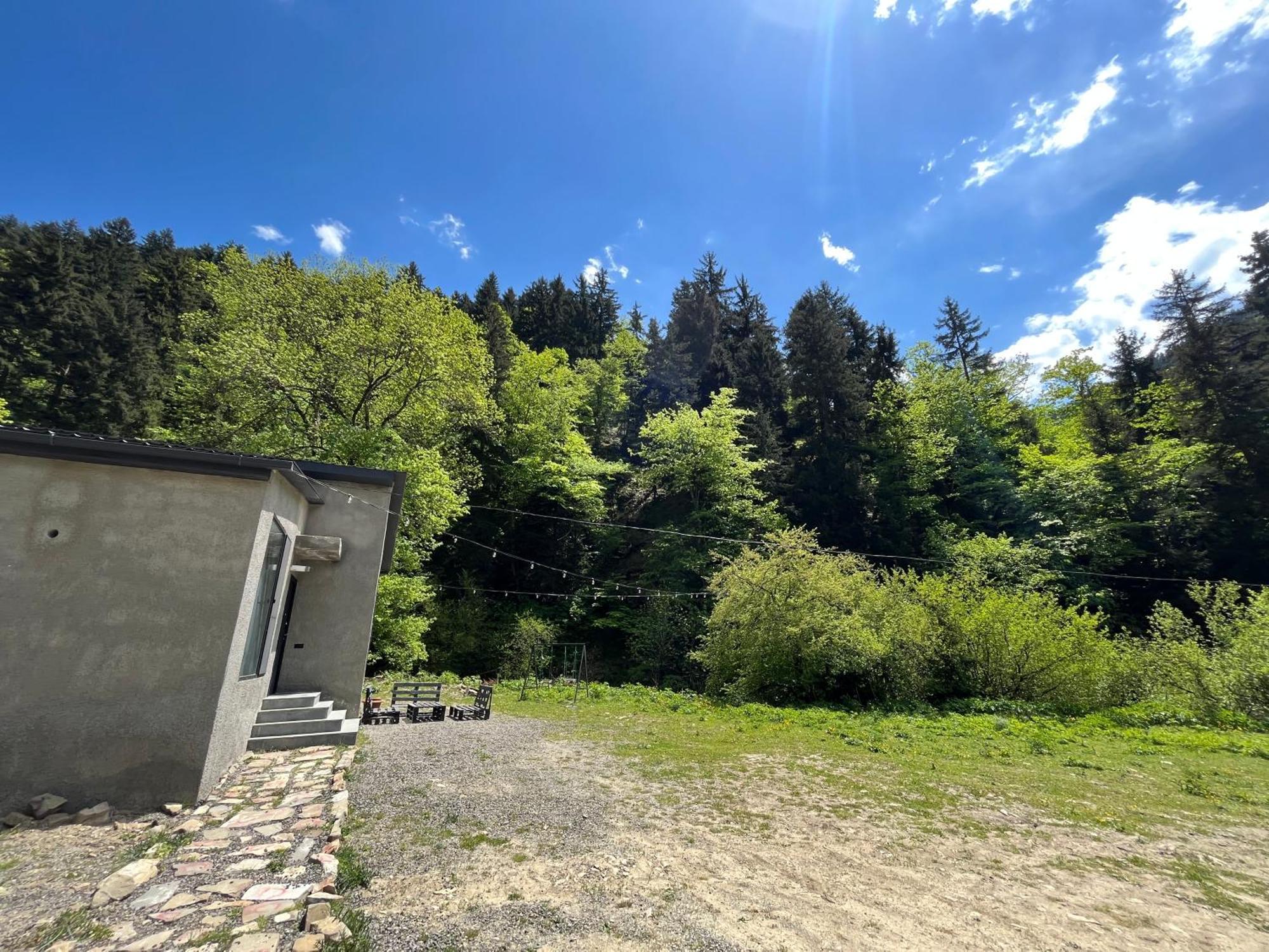 Cozy House In The Forest 보르조미 외부 사진